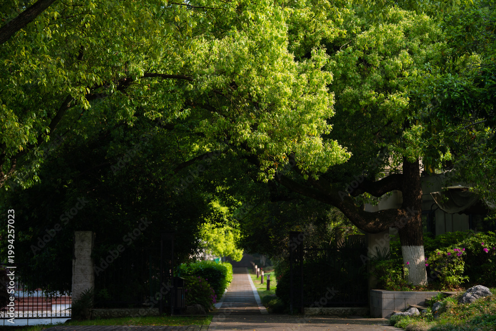 Obraz premium Spring Scenery of East Lake Scenic Area, Wuhan, Hubei, China