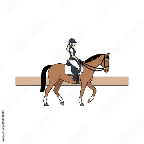 Female equestrian riding a brown horse vector illustration