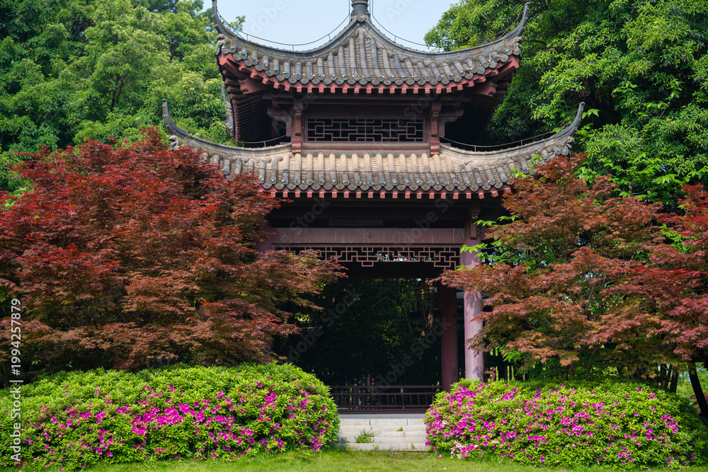 Obraz premium Spring Scenery of East Lake Scenic Area, Wuhan, Hubei, China