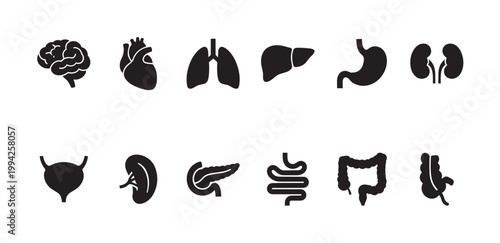 A clean set of black silhouette icons representing various human organs, including the brain, heart, lungs, liver, stomach, kidneys, bladder, spleen, pancreas, intestines, and colon.