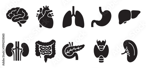 A collection of clean black silhouette icons depicting essential human organs, including the brain, heart, lungs, stomach, liver, kidneys, intestines, pancreas, thyroid, and spleen.