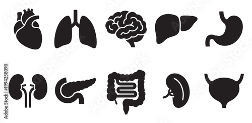 A collection of black silhouette icons representing vital human organs, including the heart, lungs, brain, liver, stomach, kidneys, pancreas, intestines, spleen, and bladder, set against.