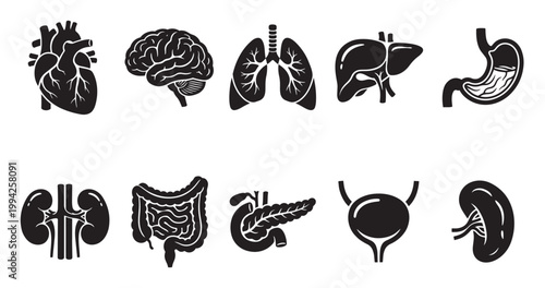 A collection of black silhouette icons representing various internal human organs, including the heart, brain, lungs, stomach, liver, kidneys, intestines, pancreas, bladder, and spleen.