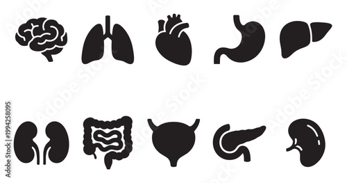 A collection of black vector icons representing various human internal organs, including brain, lungs, heart, stomach, liver, kidneys, intestines, bladder, and pancreas, isolated on a white background