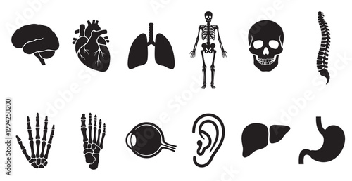 A collection of black silhouette icons representing various human anatomy parts including the brain, heart, lungs, skeleton, skull, spine, hands, feet, eye, ear, liver, and stomach.