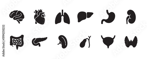 A collection of simple black icons representing human internal organs, including the brain, heart, lungs, liver, stomach, kidney, intestines, pancreas, spleen, gallbladder, bladder, and thyroid.
