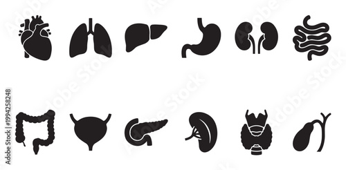 A clean set of black silhouette icons representing various human organs arranged in two rows on a white background.