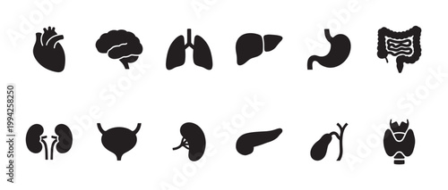 A collection of black and white silhouette icons representing various human internal organs, ideal for medical and educational use.