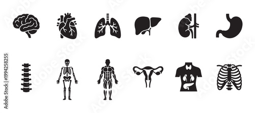 A collection of black and white vector icons representing various human anatomy organs and body systems, ideal for medical and educational content.