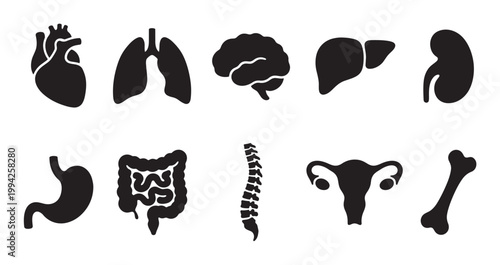 A collection of black silhouette icons representing various human organs and body parts, set against a clean white background for versatile design use.