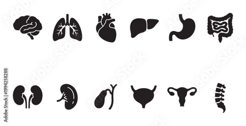A clean, minimalist set of black silhouette icons representing various human organs, arranged in two rows against a white background.