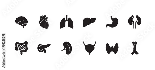 Collection of black silhouette icons representing various human internal organs on a white background, suitable for medical and educational purposes.