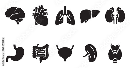 A set of black silhouette icons representing key human organs, including the brain, heart, lungs, liver, kidneys, stomach, intestines, bladder, spleen, and thyroid.