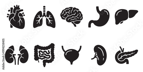 A collection of black silhouette icons depicting various human organs including the heart, lungs, brain, stomach, liver, kidneys, intestines, bladder, spleen, and pancreas.