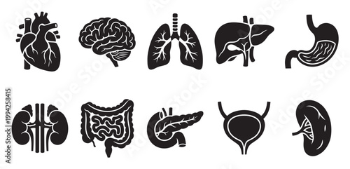 A collection of black and white vector icons representing various internal human organs, ideal for medical and educational purposes.