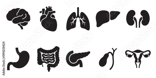 A collection of simple black silhouette icons representing various human organs, isolated on a white background for versatile use in medical and educational contexts.