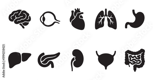A collection of black silhouette icons representing various human organs including the brain, eye, heart, lungs, stomach, liver, pancreas, kidney, bladder, and intestines.