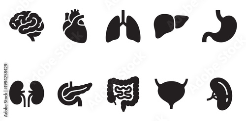 A collection of black silhouette icons representing various human internal organs arranged in a grid on a white background.