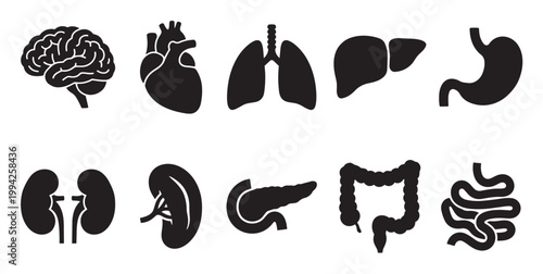 A collection of black silhouette icons representing various human internal organs, set against a clean white background for clarity.