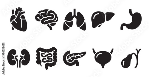 Collection of black silhouette icons representing various human organs including the heart, brain, lungs, stomach, liver, kidneys, intestines, pancreas, bladder, and gallbladder.