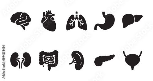 Collection of black silhouette icons representing human organs including brain, heart, lungs, stomach, liver, kidneys, intestines, pancreas and bladder on a white background.