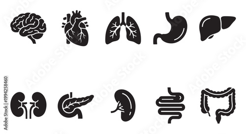 A collection of black silhouette icons depicting various human internal organs, including the brain, heart, lungs, stomach, liver, kidneys, pancreas, spleen, and intestines.