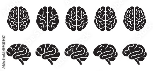 A collection of black stylized brain icons shown from top and side views on a clean white background, perfect for medical or science concepts.