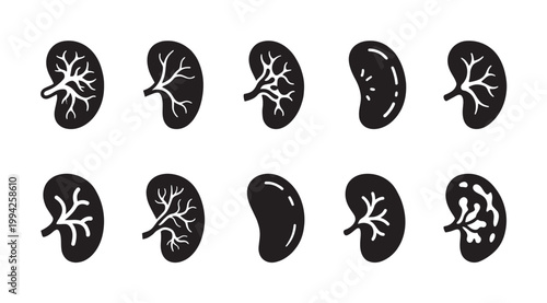 A collection of ten black and white silhouette icons representing the human kidney, with some showing internal structure and others displaying a simplified outline.