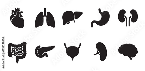 A collection of black silhouette icons representing various human internal organs isolated on a clean white background, ideal for medical and educational concepts.
