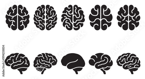 A collection of black and white silhouette icons representing human brains in various top and side views, perfect for medical or educational concepts.
