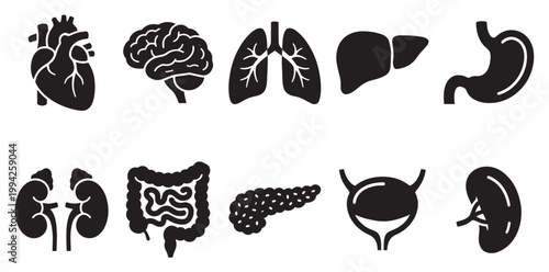 A collection of black silhouette icons representing various human organs, including the heart, brain, lungs, liver, stomach, kidneys, intestines, pancreas, and bladder, on a white background.