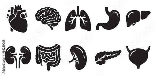 A graphic design showcasing simplified black silhouettes of various human internal organs against a clean white background, ideal for medical and educational use.