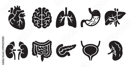 Collection of black silhouette icons representing various human organs, including the heart, brain, lungs, stomach, liver, kidneys, intestines, pancreas, and bladder.