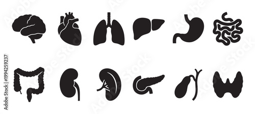 This image showcases a collection of black silhouette icons representing various human internal organs on a clean white background, ideal for medical and educational content.