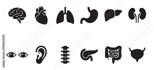 A collection of simple black silhouette icons representing various human organs against a clean white background, ideal for medical and educational use.