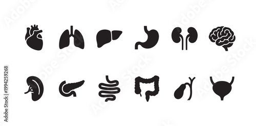 A collection of simple black silhouette icons representing various human organs, presented against a clean white background, ideal for medical and educational content.