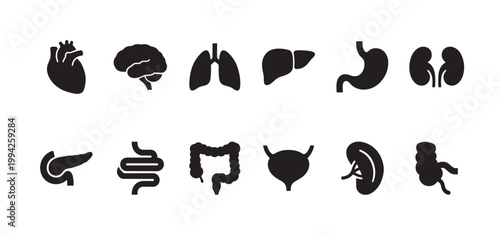 A clean, black and white graphic compilation of essential human internal organ silhouettes, ideal for medical and educational use.