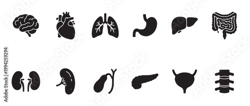 A clean, modern collection of black silhouette icons representing various human organs, perfect for medical and educational contexts.