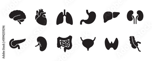 A collection of black silhouette icons representing various human organs, including the brain, heart, lungs, stomach, liver, kidneys, pancreas, intestines, bladder, thyroid, and appendix.