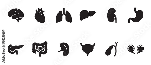 A clean, minimalist set of black silhouette icons representing various human organs on a white background.