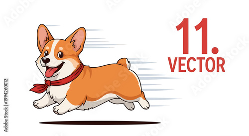 Energetic Corgi Dog Running with Red Scarf and Happy Expression.