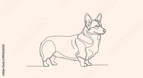 Minimalist Line Art Drawing of a Pembroke Welsh Corgi Dog Standing Proudly.