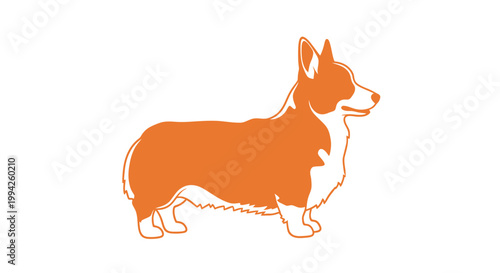 Orange and white corgi dog standing profile view illustration.