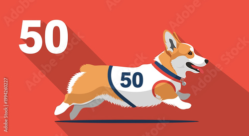 Running Corgi Dog Wearing a Number 50 Bib.