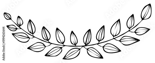 Arched delicate plant branch with leaves hand drawn outline decoration border