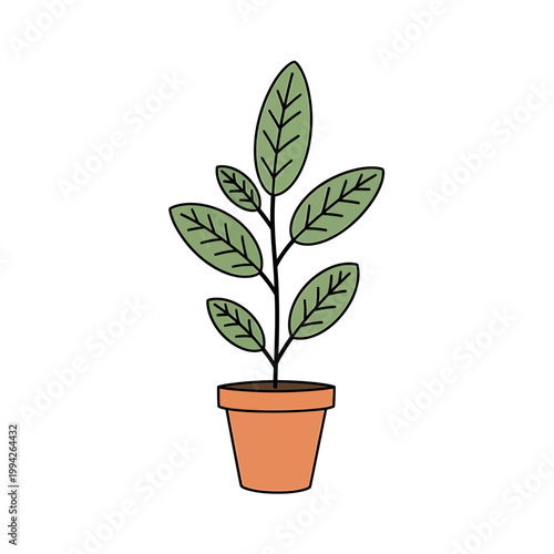 Simple vector illustration of a green houseplant in a terracotta pot