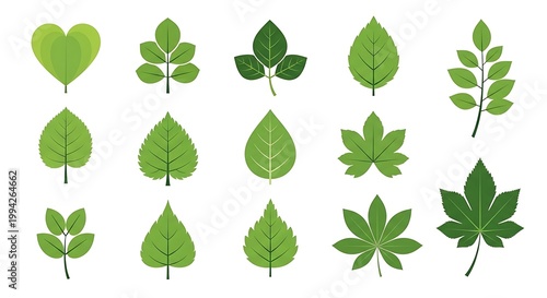 Green leaves in various shapes and sizes