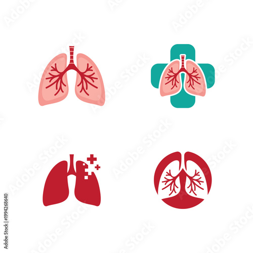 human lungs anatomy illustration