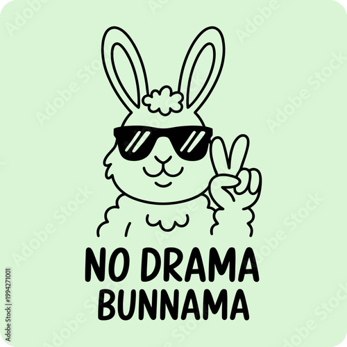 Funny Llama Wearing Sunglasses Peace Sign.