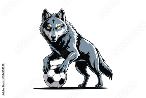 A detailed illustration of a grey wolf standing protectively over a soccer ball showcasing focused intensity on transparent background high-quality.